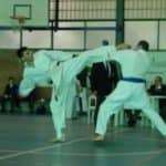 RogentKarateka 1